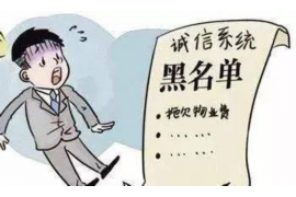 宁津为什么选择专业追讨公司来处理您的债务纠纷？